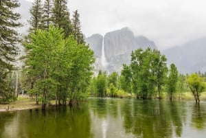 Desde San Francisco: Excursión guiada de un día al Parque Nacional de Yosemite