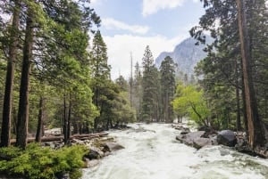 Au départ de San Francisco : Visite privée d'une journée du parc national de Yosemite