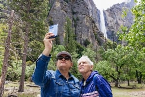 Fra San Francisco: Yosemite nasjonalpark privat dagstur