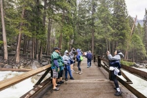 Fra San Francisco: Yosemite National Park Private Day Tour