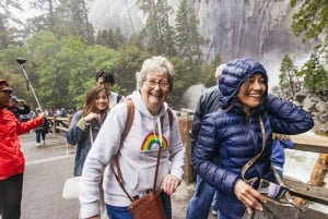 Fra San Francisco: Yosemite nasjonalpark privat dagstur