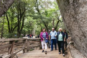 Au départ de San Francisco : Visite privée d'une journée du parc national de Yosemite