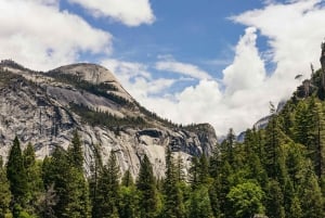 Fra San Francisco: Yosemite National Park Private Day Tour