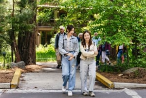 Von San Francisco aus: Yosemite National Park Private Tagestour