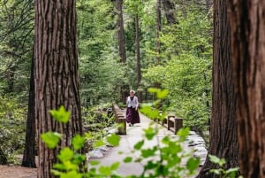 De São Francisco: excursão privada de um dia ao Parque Nacional de Yosemite