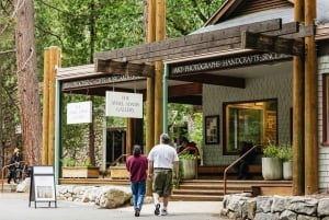 Au départ de San Francisco : Visite privée d'une journée du parc national de Yosemite