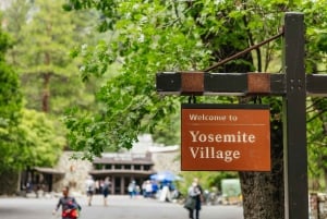 Au départ de San Francisco : Visite privée d'une journée du parc national de Yosemite