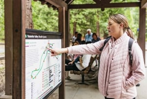 De São Francisco: excursão privada de um dia ao Parque Nacional de Yosemite