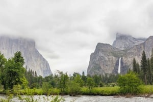 Från San Francisco: Yosemite National Park Private Day Tour