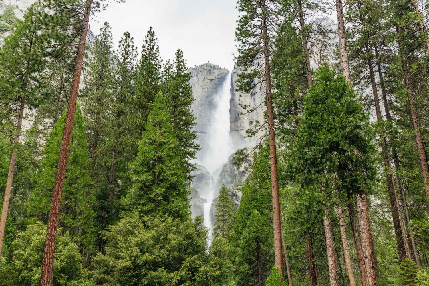 From San Francisco: Yosemite National Park Guided Day Trip