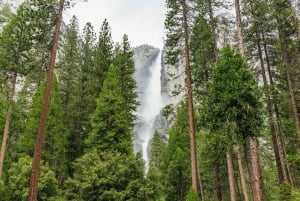 Von San Francisco aus: Geführter Tagesausflug in den Yosemite National Park