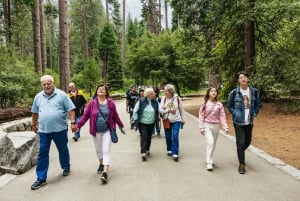 De São Francisco: Viagem guiada de um dia ao Parque Nacional de Yosemite