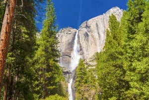 From San Francisco: Yosemite & Tahoe Sierras 4-Day Trip