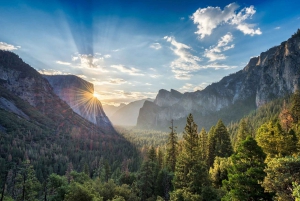 Yosemite Tour with Giant Sequoias Hike