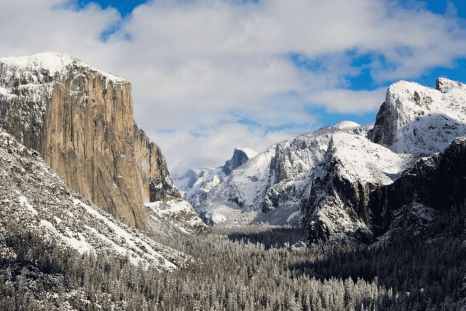 Au départ de San Jose : visite d'une journée jounée du parc national de Yosemite