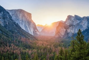 San Josesta:Lumoava kokopäiväinen Yosemiten kansallispuistoretki Yosemiten kansallispuistoon
