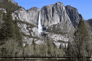 Au départ de San Jose : visite d'une journée jounée du parc national de Yosemite