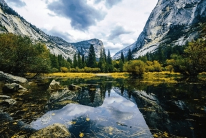 Au départ de San Jose : visite d'une journée jounée du parc national de Yosemite