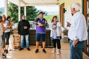 San Josesta: Napa & Sonoma Valley viinikierros