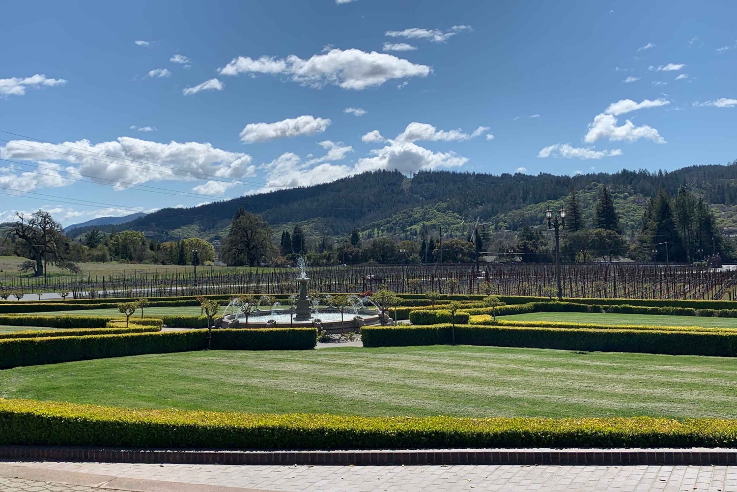 Fra San Francisco: - 8-timers privat vintur til Napa og Sonoma - XL SUV.