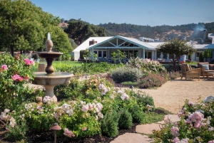 Fra San Francisco: - 8-timers privat vintur til Napa og Sonoma - XL SUV.