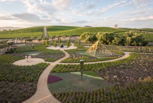 Fra San Francisco: - 8-timers privat vintur til Napa og Sonoma - XL SUV.