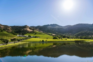 Fra San Francisco: - 8-timers privat vintur til Napa og Sonoma - XL SUV.