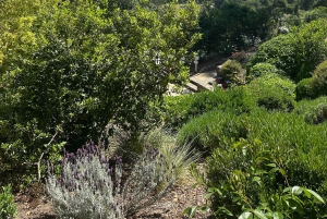 Fra San Francisco: - 8-timers privat vintur til Napa og Sonoma - XL SUV.