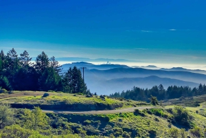 サンフランシスコ発：アルカトラズ島日帰りツアー、ミュアウッズ国立公園訪問＆ワインテイスティング