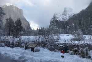 From SF: Yosemite Day Trip with Giant Sequoias Hike & Pickup