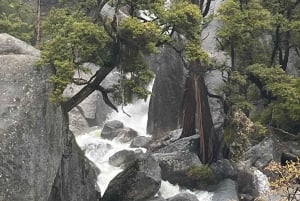 From SF: Yosemite Day Trip with Giant Sequoias Hike & Pickup