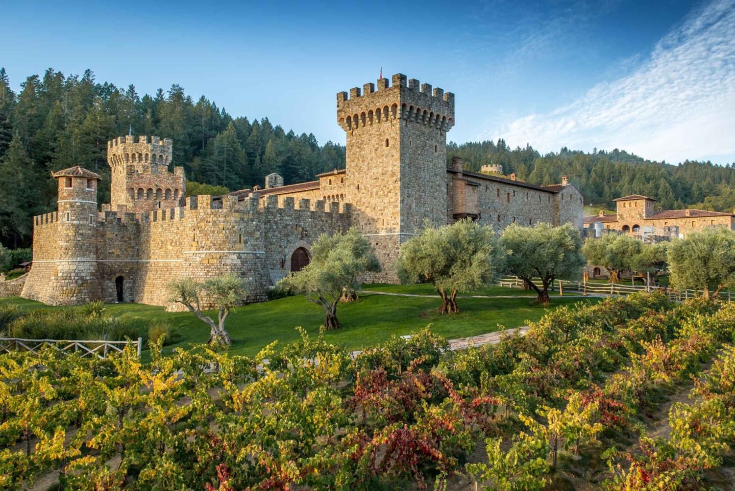 Da SFO - Tour del vino incantato di Napa e Sonoma in SUV