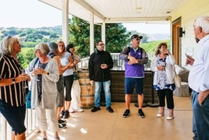 From SFO - Enchanted Napa & Sonoma Wine Tour in SUV