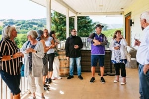 Da SFO - Tour del vino incantato di Napa e Sonoma in SUV