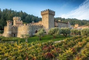 Da SFO - Tour del vino incantato di Napa e Sonoma in SUV