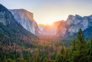 Au départ de SFO - Parc national de Yosemite - Visite enchanteresse d'une journée entière