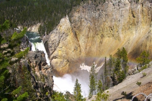 Fra Vegas: Yellowstone, Yosemite og Rockies 11-dagers tur