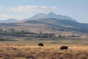 Au départ de Vegas : Circuit de 11 jours à Yellowstone, Yosemite et dans les Rocheuses