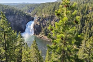 Au départ de Vegas : Circuit de 11 jours à Yellowstone, Yosemite et dans les Rocheuses