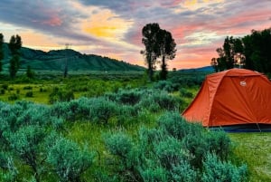 Au départ de Vegas : Circuit de 11 jours à Yellowstone, Yosemite et dans les Rocheuses