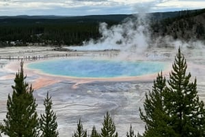 Au départ de Vegas : Circuit de 11 jours à Yellowstone, Yosemite et dans les Rocheuses