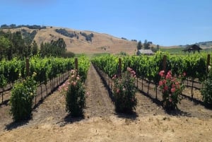 Full-Day Wine Tour to Napa & Sonoma 3 Tastings Included