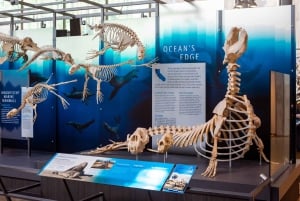 Kalifornische Akademie der Wissenschaften mit Golden Gate Park Tour