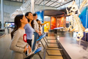 Académie des sciences de Californie avec visite du parc du Golden Gate