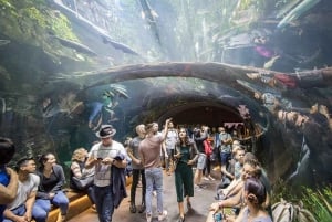Tour del Golden Gate Park con California Academy of Sciences