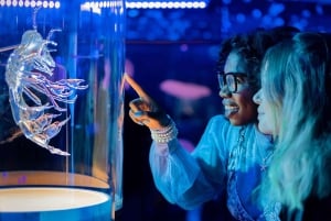 Tour del Golden Gate Park con California Academy of Sciences