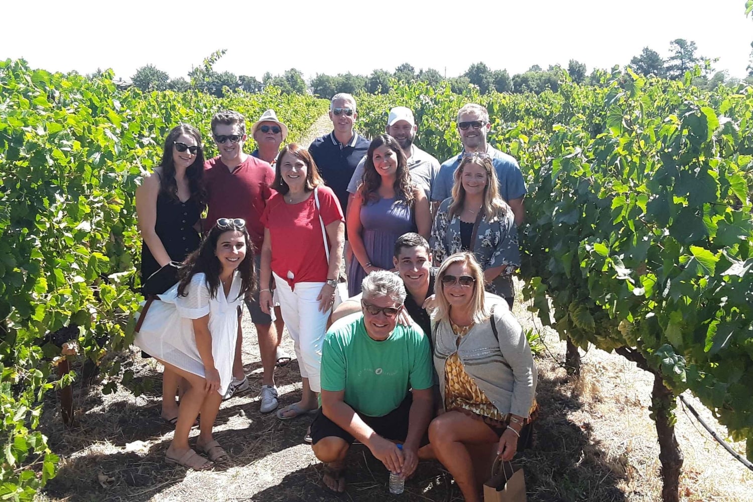 Guidet privat vintur til Napa og Sonoma Wine Country