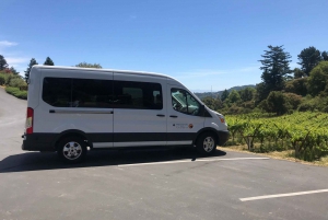 Privat guidet vinrejse til Napa og Sonoma Wine Country med guide