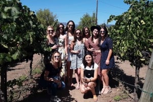 Excursão privada guiada de vinhos a Napa e Sonoma Wine Country