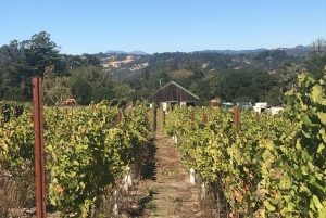 Begeleide privéwijntour naar Napa en Sonoma Wine Country